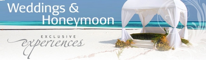 Wedding Header